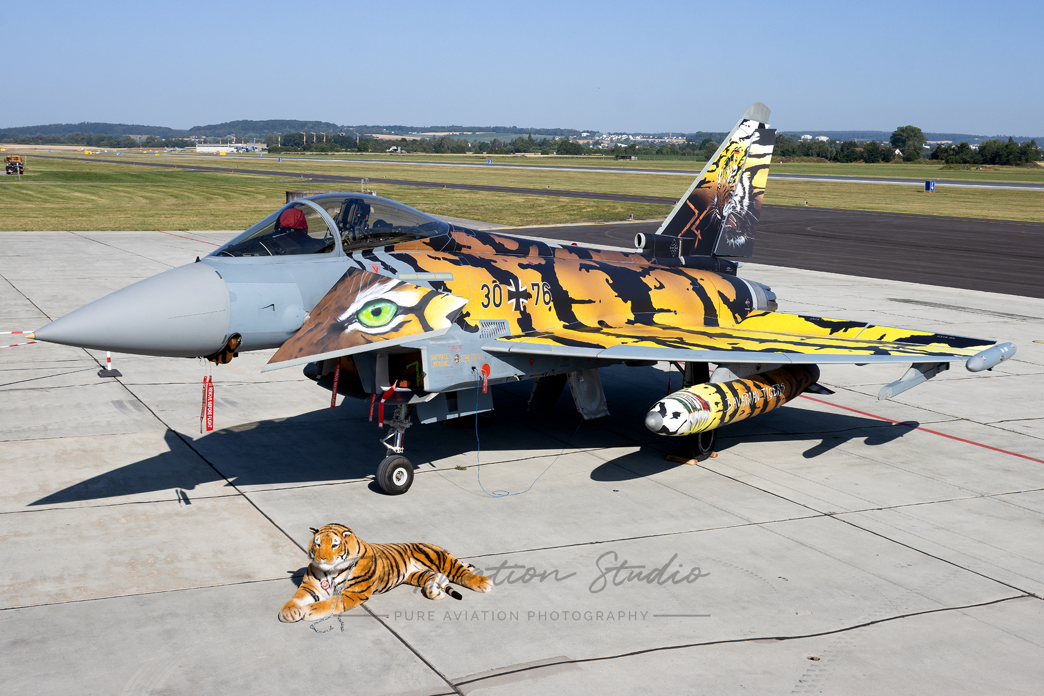 Bavarian Tigers Unveil Their New 74 Tiger - The Aviation Studio